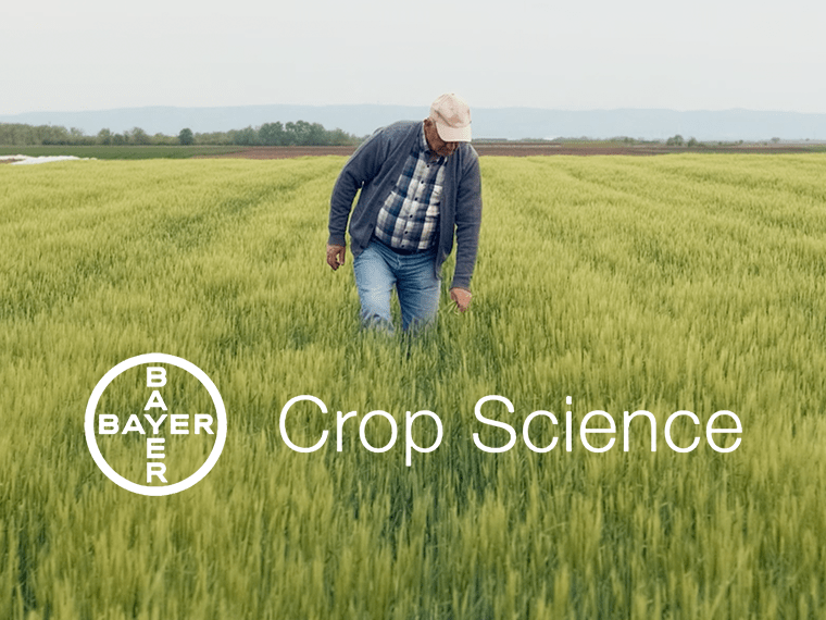 farmer walking through field of crops with Bayer Crop Science logo